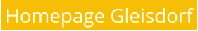Homepage Gleisdorf